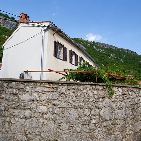빌라 House Dragica *
